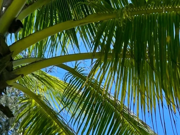 һ��ȥ������Ҭ�ӵ����ߡ�ά�����Ǻ����������ǡ���������һ��ح����ļ����