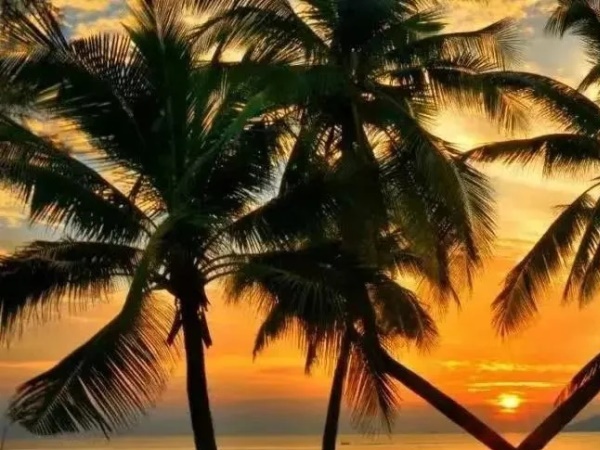 һ��ȥ������Ҭ�ӵ����ߡ�ά�����Ǻ����������ǡ���������һ��ح����ļ����