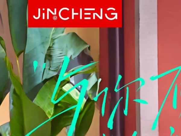 ���������ר������LAKO110!