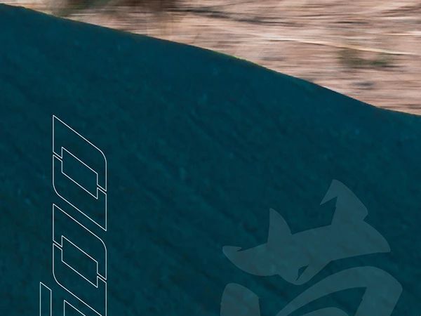 Դ����Ȼ��̽����Ȼ������STORR500����һ��δ֪��ð�գ�