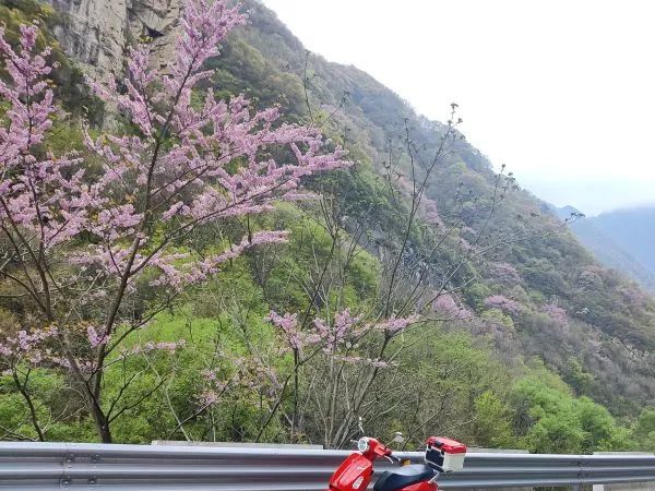 ��ֵ�����ܲ��� | �ҵĵ�һ������̤��Ħ�г�����VRF150