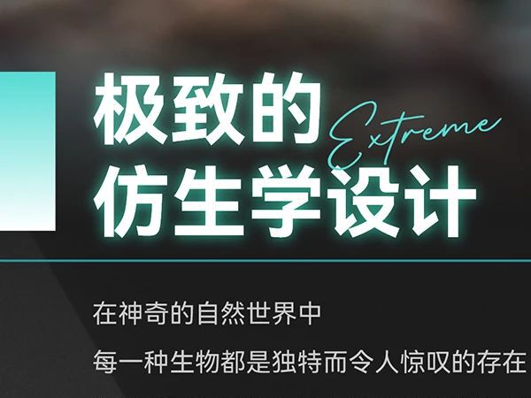 ����ԽҰ����Ӽ����ǰ�� | �߽�����Ӽ������Ұ�赸��