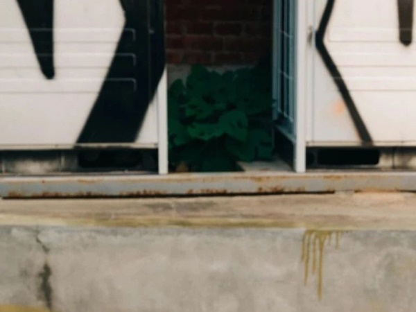 ���죬�����Ħ��DJANGO CLASSIC CAFERACER����