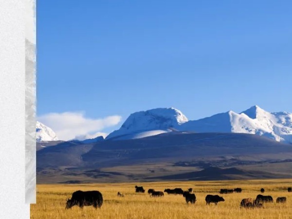 �����RacingH 150һ�� ��������