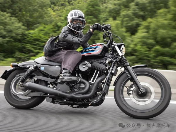 һ�����ݣ����Ź���XL1200��Ů����̫��ˣ�