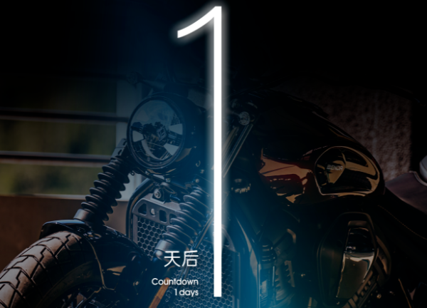 ǿ������������