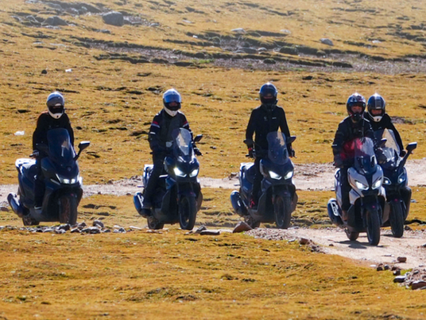 ������Ħ�� | 15�죡3000����Ƿ壡