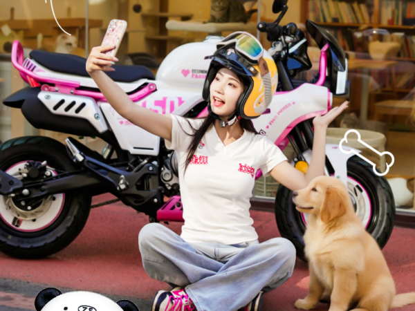 ����������������販��ȫ���淨