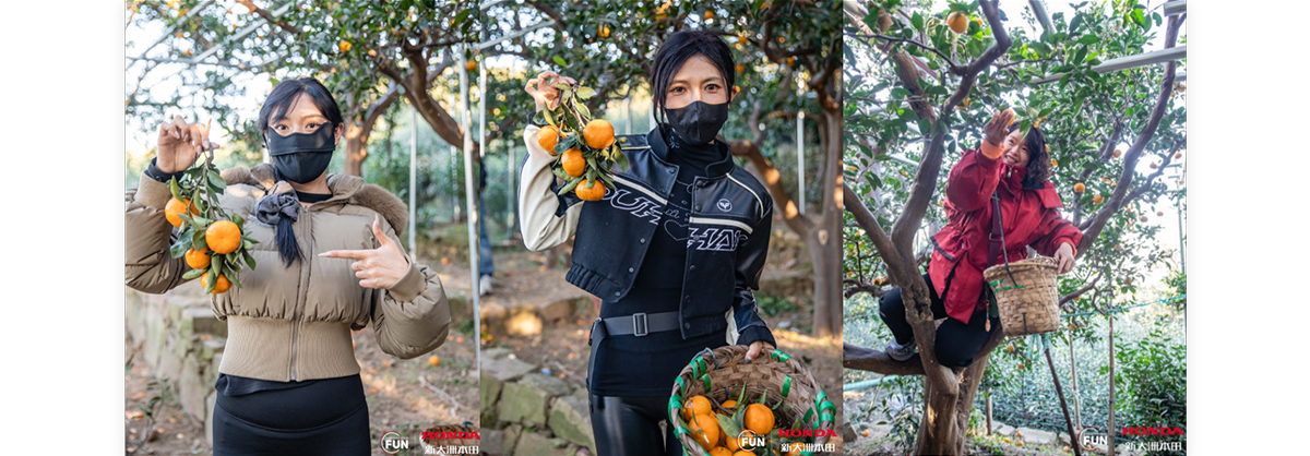 ������԰���� ̽���������� | ��NS150GX�����ݣ���ĩ�͸���������