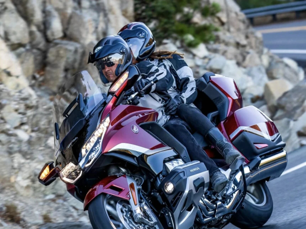 �����µ�ä�����Լ��Զ�����ר����ת�أ�