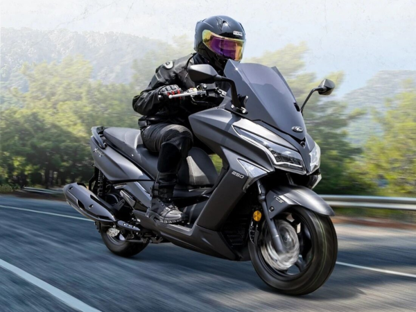 �������� ����ȫ����