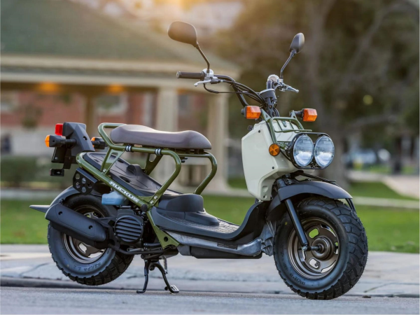 �¿��Zoomer����������