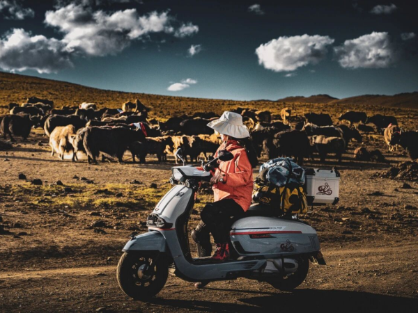 ���н������������վ��������֣�ά�����ǡ�������վ����������